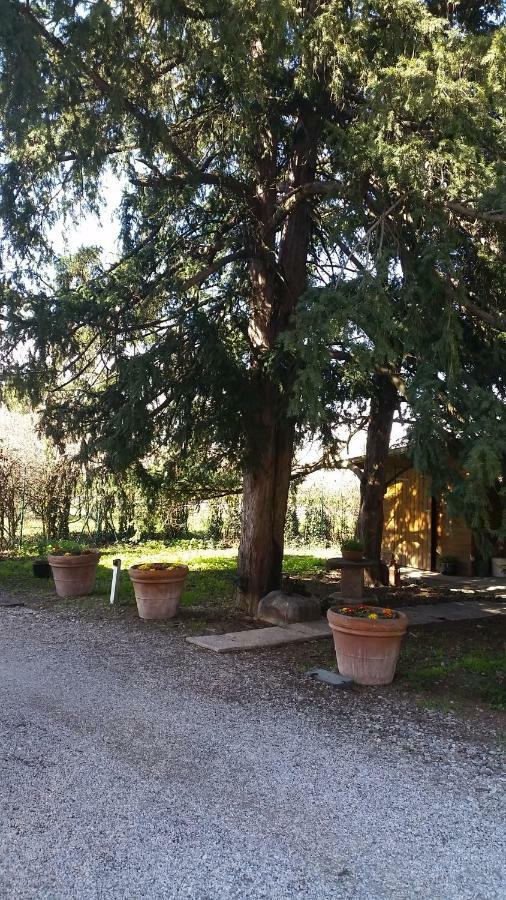 Bed and Breakfast Al Cancello Модена Экстерьер фото